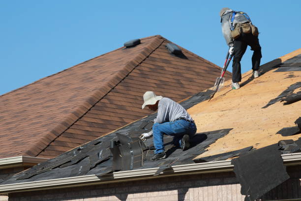 Best Roof Ventilation Installation  in Eagleville, PA